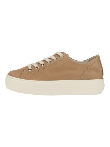 Paul Green Sneaker in Beige