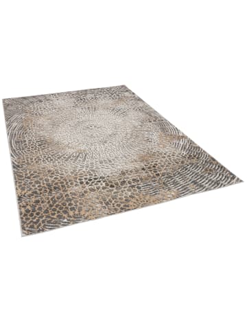 Pergamon Teppich Tawira in taupe