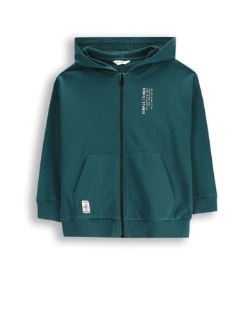 Coccodrillo Reißverschlussjacke in grün