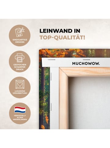 MuchoWow Leinwand bilder Waldpfad (BxH)