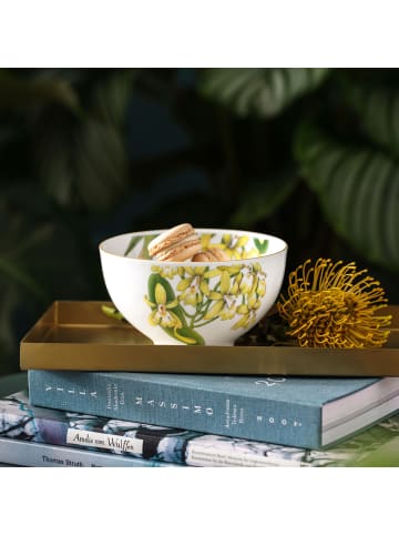 Villeroy & Boch Bol Amazonia in bunt