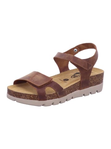 Plakton Sandalette in braun