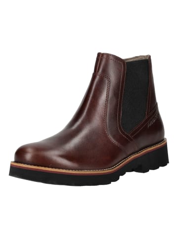 Pius Gabor Stiefelette in Mahagony