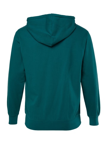 Men Plus Sweatshirt in tannengrün