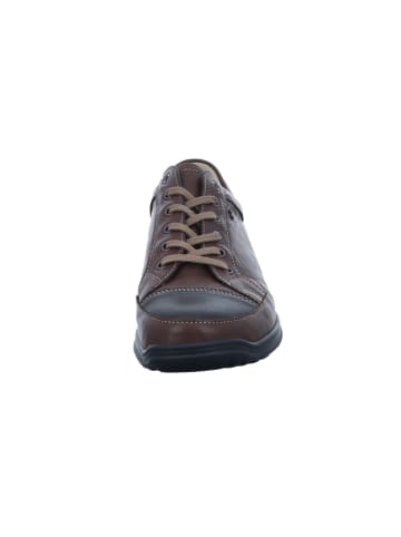 Finn Comfort Schnürschuh in braun