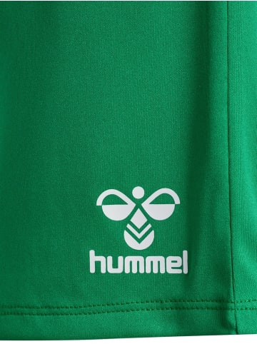 Hummel Short "Essential Shorts" in Multicolor