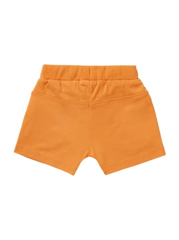 Noppies Shorts Branch in Tangerine