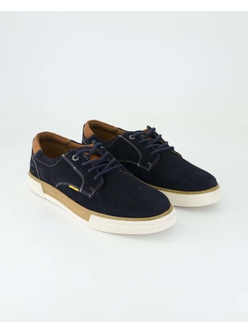 Camel Active Sneaker low in Blau