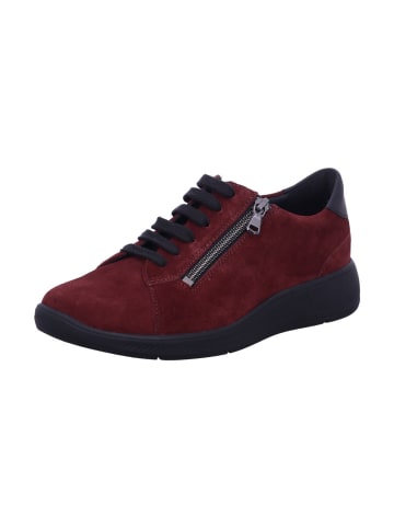 Solidus Damen- Schnürschuhe Kalea Weite K in Braun
