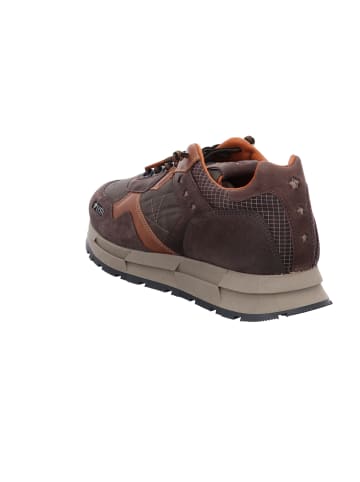 Cetti Sportliche Schnürschuhe in Braun