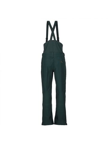SCOTT M VERTIC 3L PANTS in Grün