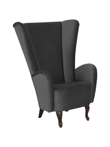 others HOCHLEHNSESSEL Kailey Bezug Samtvelours Buche nussbaum dunkel / anthrazit