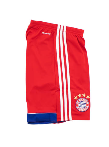 adidas Shorts FC Bayern München Home FCB in Rot