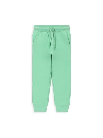 Coccodrillo Sporthose  in grün
