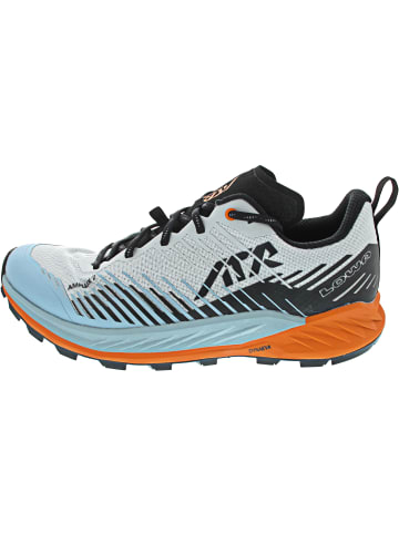 LOWA Amplux 2 Wanderschuh Blau