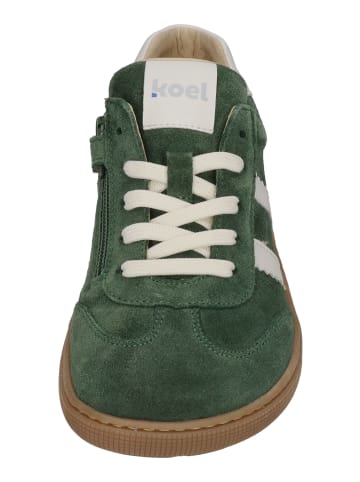 KOEL Sneaker Low DECLAN SUEDE in grün