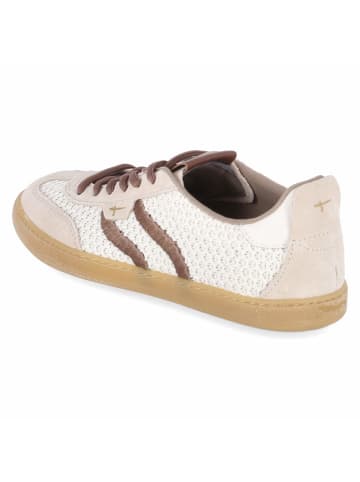 Tamaris Low Sneaker in beige