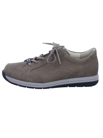 Finn Comfort Sneaker Low in braun
