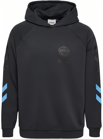 Hummel Hoodie "Oversized Hoodie Sw El Paso" in Grau