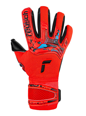 Reusch Torwarthandschuhe Attrakt Duo in 3333  brig red/futr blu/blck