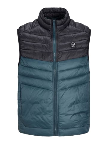JACK & JONES PLUS Steppweste in Magical Forest
