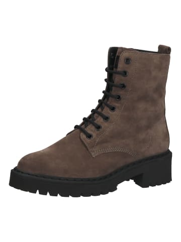 Högl Stiefelette in Taupe