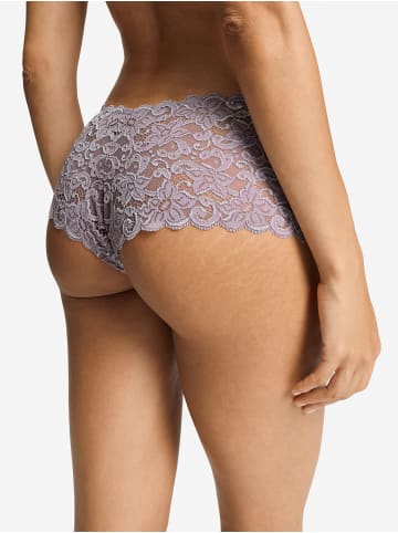 Hanro Panty Moments in stormy rose
