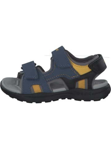 Geox Sandalen in AVIO/DK YELLOW