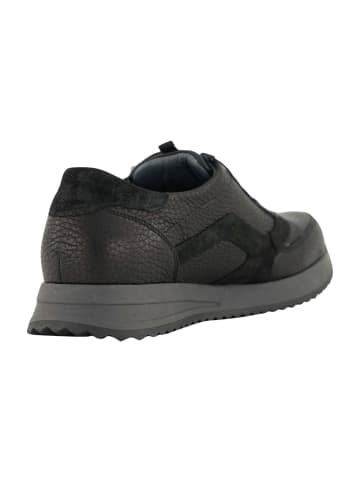 WALDLÄUFER Komfort Schnürschuhe in Schwarz