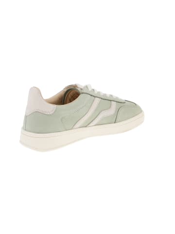 Gant Sneaker low Cuzima in Grün