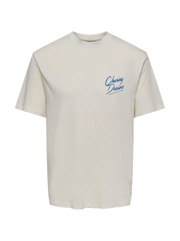 Only&Sons T-Shirt 'Passa Vice' in hellgrau