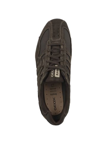 Geox Sneaker low U Snake Original in dunkelbraun