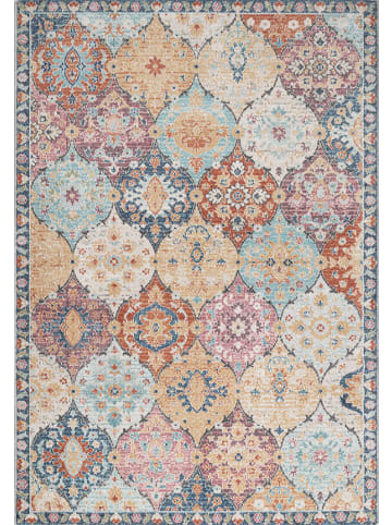 the carpet Moderner In-/Outdoor Teppich B in Mehrfach