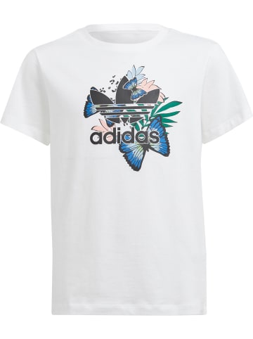 adidas T-Shirts in white