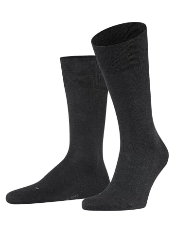 Falke Socken 1er Pack in Anthrazit