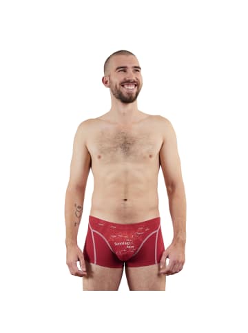 EIN SCHÖNER FLECK ERDE Boxershort 1er Pack in Sonntagshorn (Kaminrot)