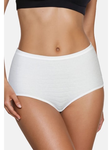 SPEIDEL Panty Cotton & More in Weiß / beige / dunkelblau