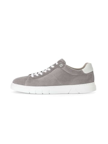 Pius Gabor Sneaker low in grau