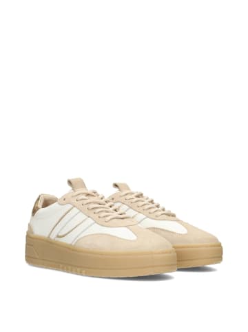 POELMAN Poelman ANEMONE Damen Sneaker