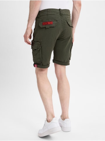 Alpha Industries Shorts in khaki - 0008