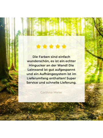 MuchoWow Leinwand bilder Waldlicht (BxH)