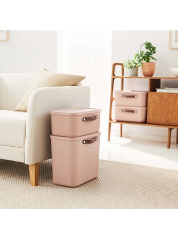 Rotho 2er-Set Kiste mit Deckel Maloja 25l in Meadow rose