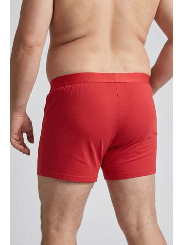 Men Plus Pants in rubinrot