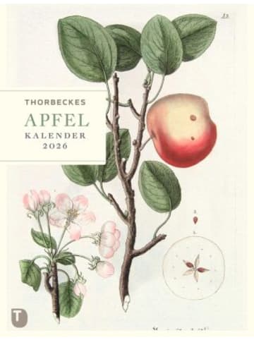 Thorbecke Kalender - Thorbeckes Apfel-Kalender 2026