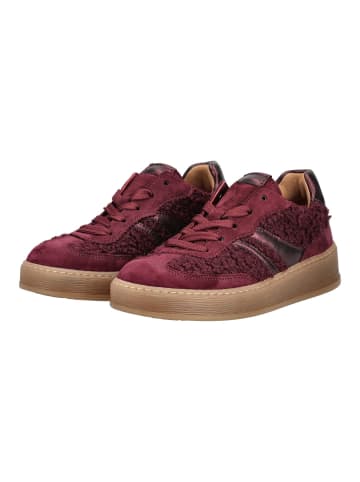 Gabor Sneaker Rot