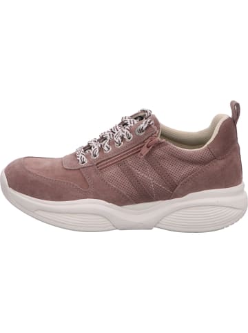 Xsensible Sneaker in rose