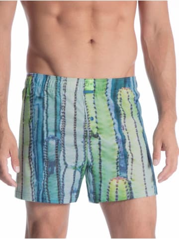 Calida Boxer Shorts in Kaktus