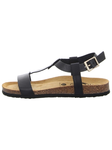 Plakton Sandale in schwarz