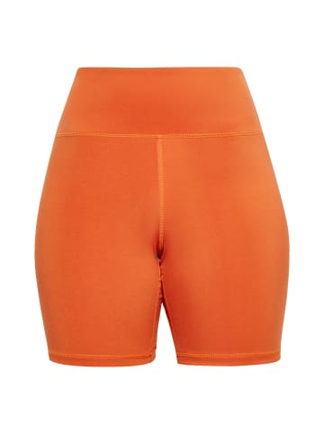 faina Shorts in Orange
