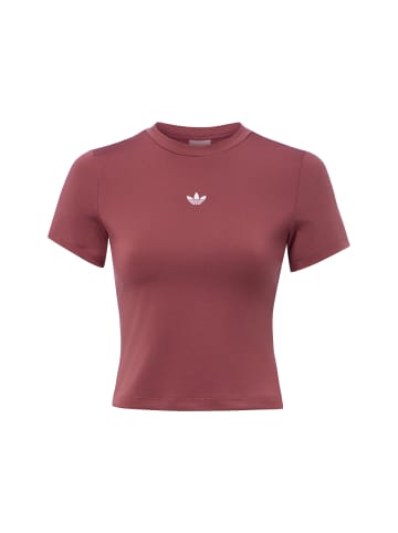 Adidas originals T-Shirt in bordeaux